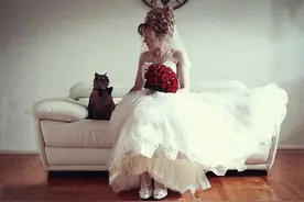 猫奴们，结婚记得带上喵图片