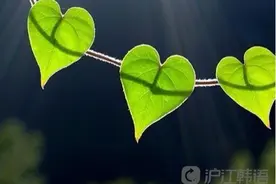 韩语美句：希望图片