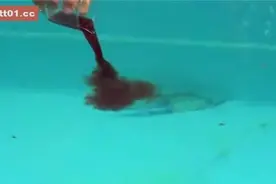 揭秘食人鱼的吃人真相图片