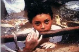 途牛去年四季度收入同比翻番图片