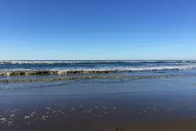 学生专栏 | 一篇日记 真情实感讲述在美国做交换生的日子！图片