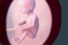 3D画面展示宝宝在腹中神奇胎动，太神奇了！图片