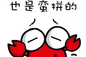 这些网络流行语，到底是个神马梗，你造吗？图片