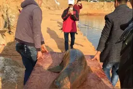 钓鲟鱼秘籍视频，点击进入图片