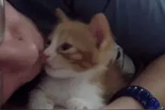 龟儿子，​给我把头伸出来！图片