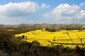 走进仁寿青岗，寻找梦中的水乡图片