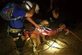 狗狗坠60米深崖，以为它已经死去！爱犬奇迹生还后，她又哭又笑图片