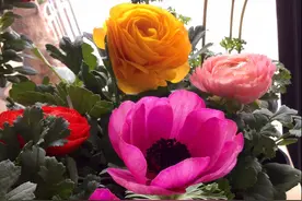 “花”点儿时间！图片