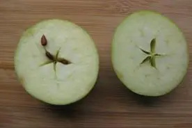 《吃苹果》图片