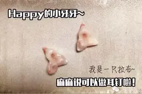 狗宝宝是如何换牙的？图片