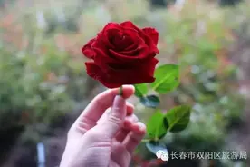 “采摘、泡泉、赏花”小吉带你一站式全新体验！图片