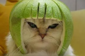 你心里家居品牌对应什么动漫人物形象，脑洞开起来图片