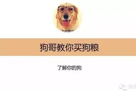 狗哥教你买狗粮1——了解你的狗狗之年龄与体型图片
