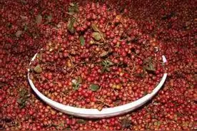 是香料还是中药？花椒也走无间道图片