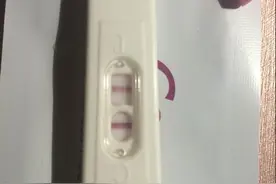 今天没有孕吐，难道是孕期反应要结束了！图片