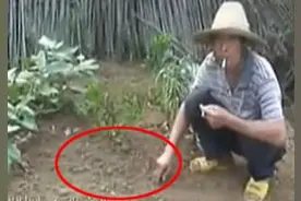 老头菜园挖到不知名古董，以为是传家宝，没想是失窃物被收缴图片