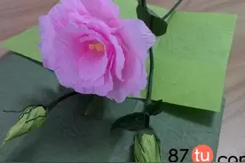 洋桔梗折纸图解教程图片