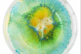 培养皿中的梦幻世界—化学与美术的完美融合图片