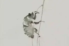 齐白石老人画蝉高手，“老五”一出冠群雄！图片