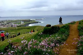 逛吃韩国济州岛图片