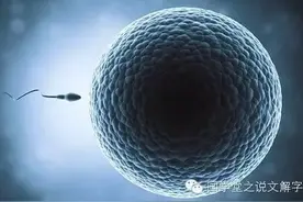 说文解字：“卵”图片