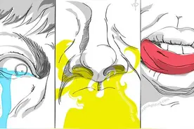 臭鼬只能排第三 细数世界上最臭的10种东西图片