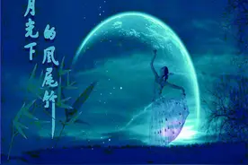 笛子版的《月光下的凤尾竹》你听过吗？图片