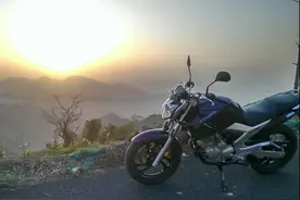 沉默的实用好车，雅马哈飞致250图片