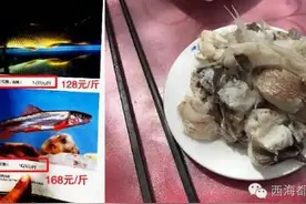 贵德一斤“黄河鱼”竟能卖168元，真是野生的？图片