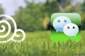 天天玩微信 这5个实用技能你却不会图片