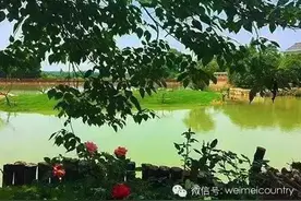 这些隐藏在南京的“素颜”水美乡村，你去过几个？图片