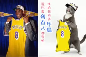 喵星人撞脸科比二十年！这才是萌倒科蜜的正确姿势！图片