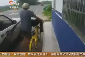 奇葩男子小黄车骑上高速路视频封面
