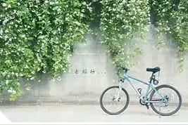 徐州老人骑三轮走世界！还有几处徐州及周边适合短途骑行的地方图片