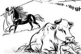 “风马牛不相及”真是发情的马和牛不在一起OOXX吗？图片