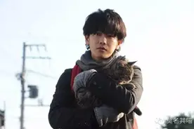 《如果这世界不再有猫》，还要我做什么图片