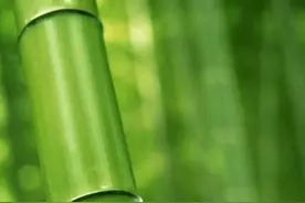 动词-ing形式作宾语补足语和状语的用法。图片