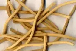 清心降火灯心草图片