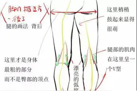 腿部的画法—很巧妙的讲解图片
