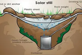 荒野生存必需记住的6个小技巧图片