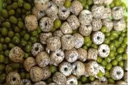 星月菩提子怎么盘才能更好地上色快速包浆？图片