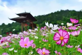 政府喊你当老板，株洲要建1000个家庭农场图片