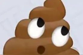 加拿大妹子第一次去男票家，屎冲不下怎么办？在线等，急图片