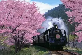 干货丨2016年日本赏樱路线推荐，顺便还扫回好物图片