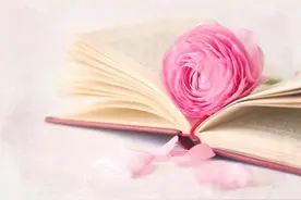 英语字母啥时候需要大写？看这11个规律！(值得收藏)图片