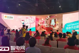 海尔苏宁携手憋大招？ 20万尖货专供苏宁418图片