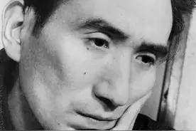 “在地狱的屋顶/凝望着花朵“，这就是太宰治啊！图片
