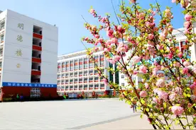 郸城一高校园花海掠影图片