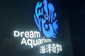 588元一家三口来深圳欢乐海岸边玩耍边吃饭，还有资深记者教娃图片