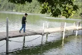 朋友请我去他家的鱼塘钓鱼，这还用钓吗？图片
